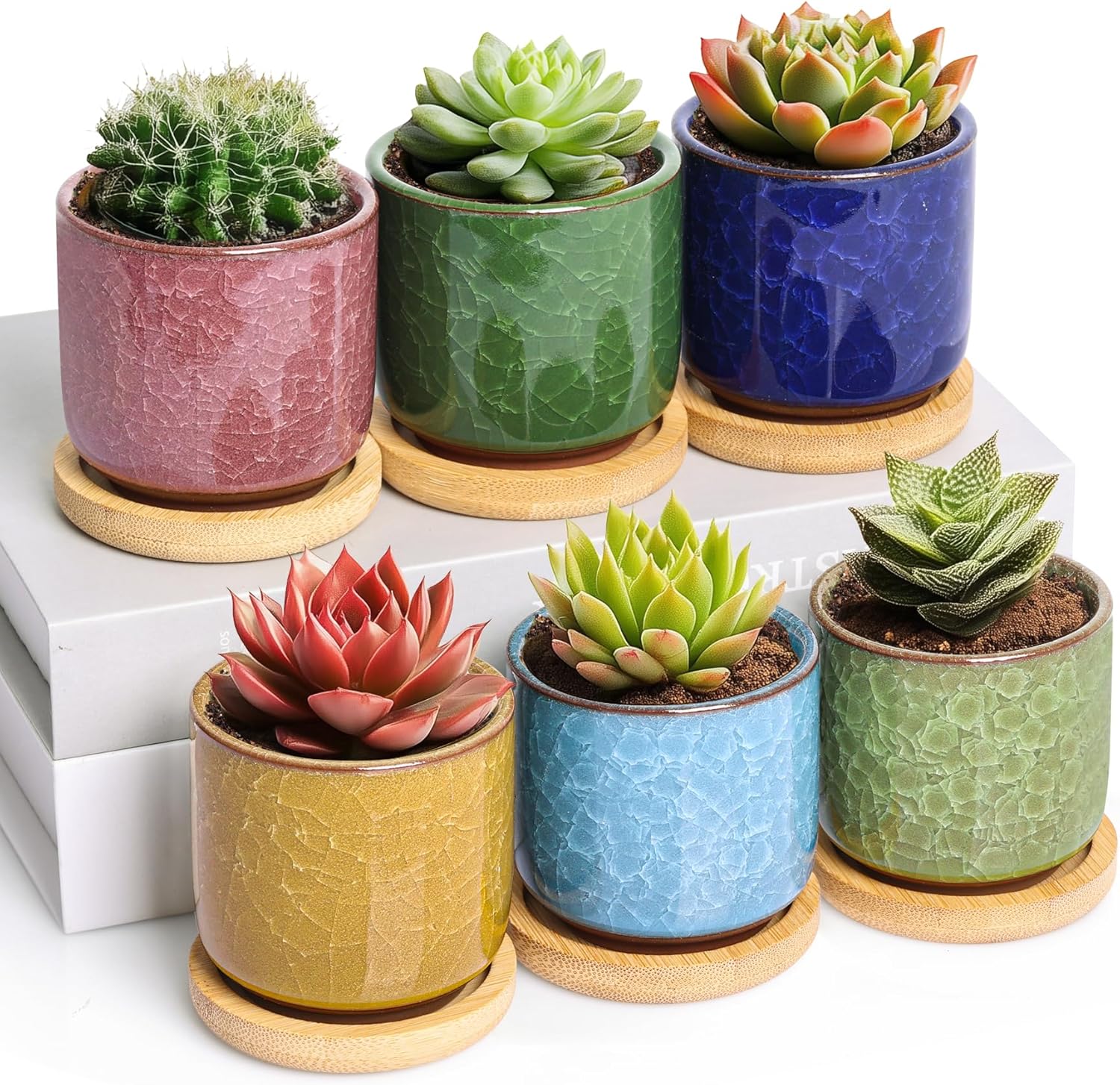 T4u 6.3cm Cerámico Grieta de Hielo Zisha Elevado Serie Suculento Maceta de Cactus Flor Macetas Envase Plantas Azul Claro con Bandejas de Todo Color Conjunto de 6