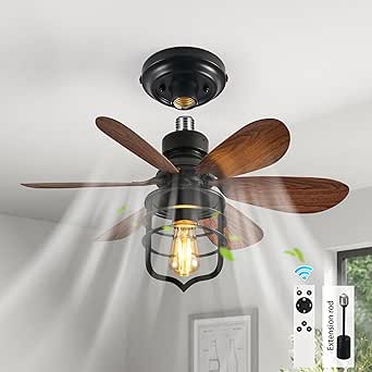 Ventilador de techo Ganeed con enchufe de rosca y control remoto E27, pequeño, para dormitorio, estilo rústico, industrial, lavandería, garaje, pasillo y vestíbulo, color negro.