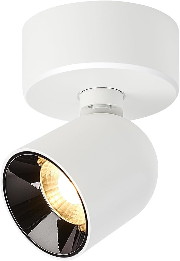 Budbuddy 12W LED Focos para el techo superficie focos led interior Focos de techo regulable Plafón Focos Orientable Industrial para habitacion Salón Dormitorio 3000K Aluminio