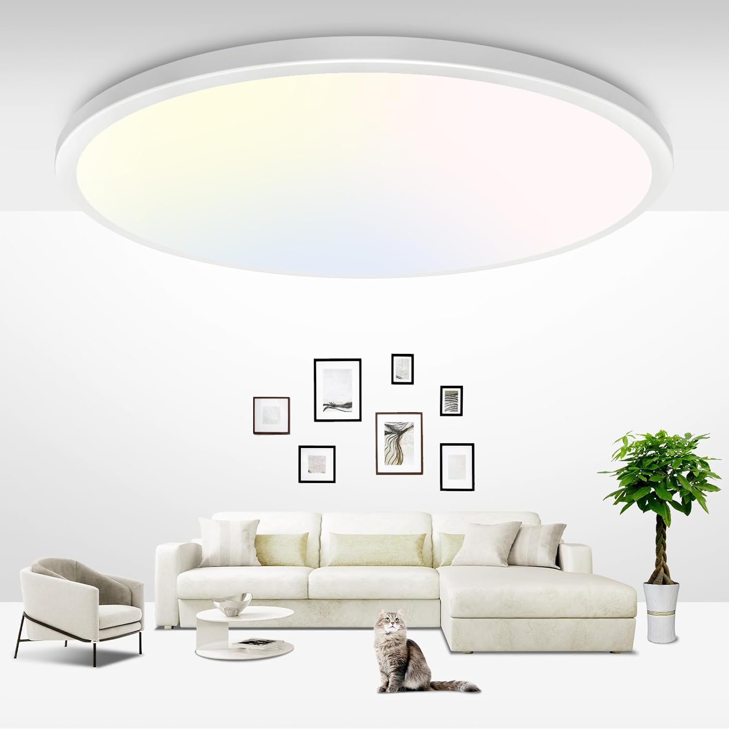 Lámpara de techo LED Zemty de 36W, 4200LM, con tres opciones de temperatura de color (3000K, 4500K, 6000K). Diseño ultradelgado de 42 cm de diámetro y solo 2,5 cm de grosor. Estructura resistente IP44