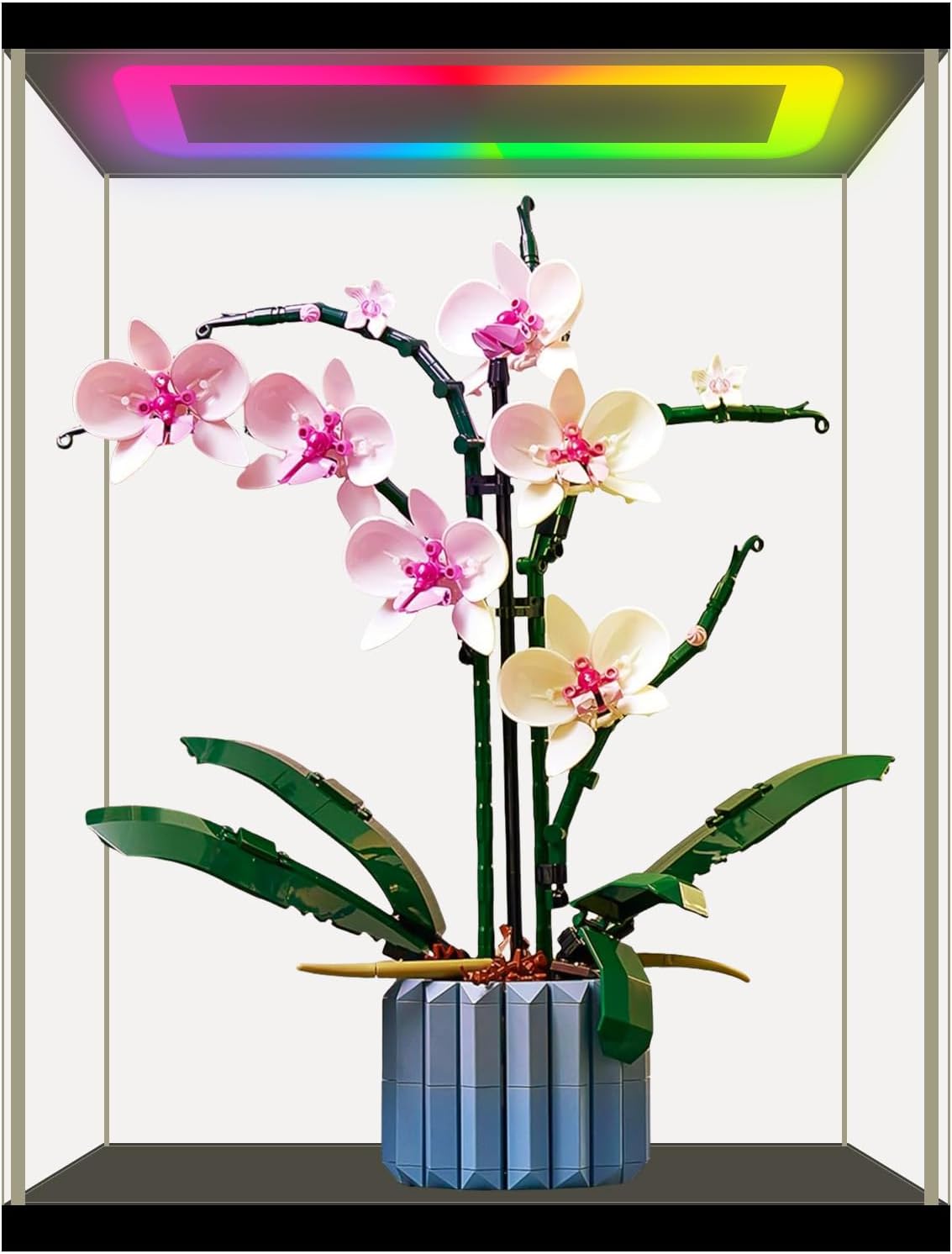 Vitrina/Expositor de acrílico Nonemey con luz LED RGB y mando a distancia - Vitrina transparente a prueba de polvo para coleccionables, figuras y objetos de colección - Negro 35x30x44 cm