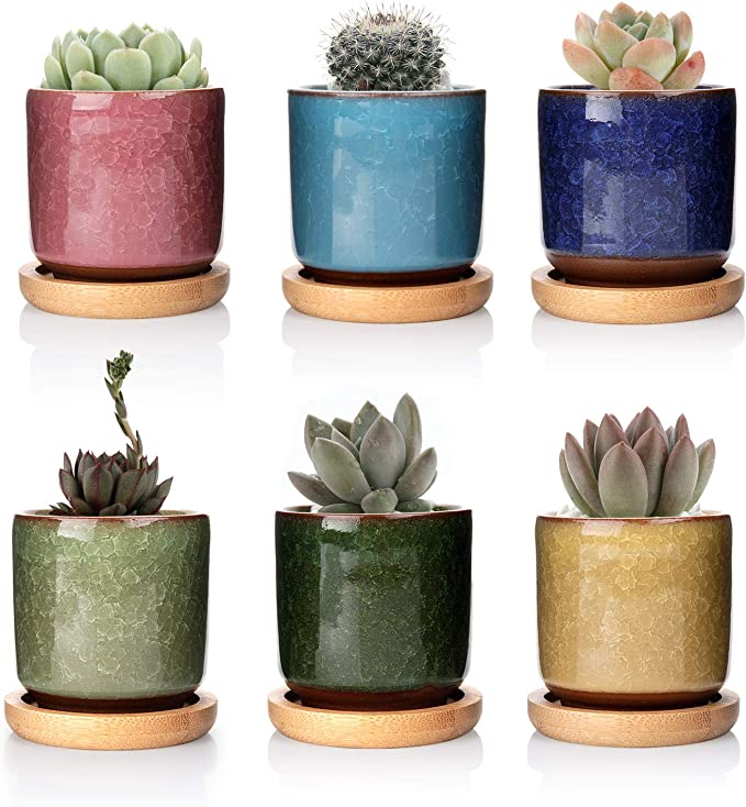 T4u 6.3cm Cerámico Grieta de Hielo Zisha Elevado Serie Suculento Maceta de Cactus Flor Macetas Envase Plantas Azul Claro con Bandejas de Todo Color Conjunto de 6