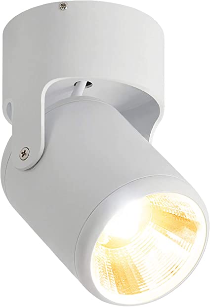 Budbuddy 12W LED Focos para el techo superficie focos led interior Focos de techo regulable Plafón Focos Orientable Industrial para habitacion Salón Dormitorio 3000K Aluminio