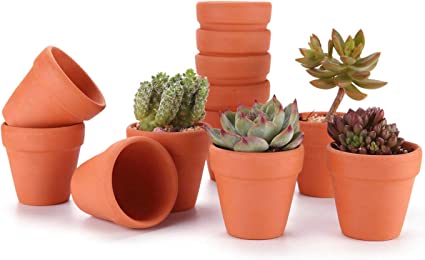 T4u Arte Arcilla de Terracota Rojo 5CM Paquete de 12, Maceta de Planta Vivero Suculento Cactus Hierba DIY Jardinería Decoración para Escritorio Antepecho de Oficina Regalo para Boda Navidad
