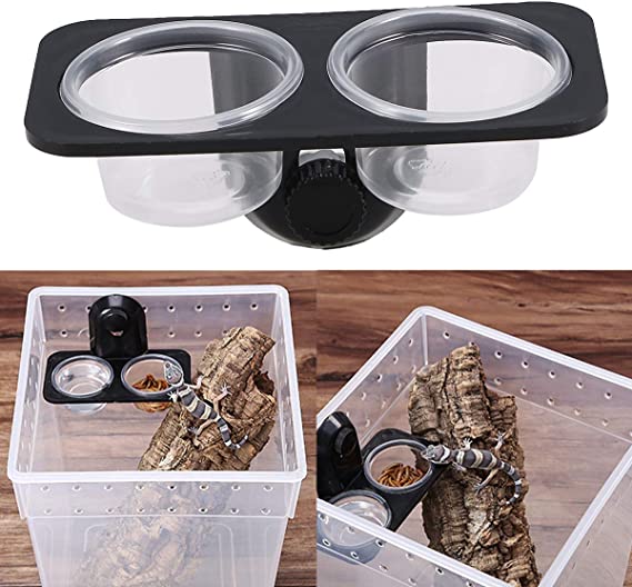 Balacoo Geckofutterleiste, pequeño Gecko Futtertassen Reptilien Feeder para Reptilienfutter y Wasserftterung