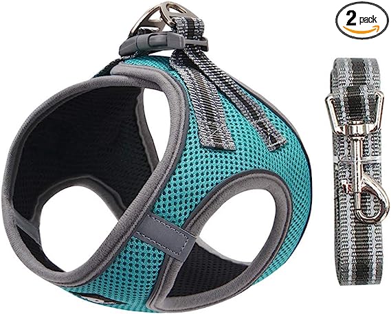 Arnés para Perros Perros pequeños, Arnés Deportivo para Perros Sin Tirón Malla Suave Reflexivo y Transpirable Arnés para Perros y Juego de Cables Ajustable Turquesa S