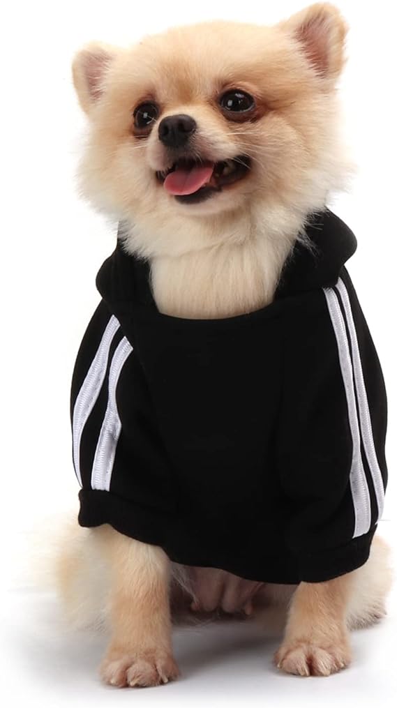 Hoodie,Jersey Perros,Sudadera Perro Ropa ParaCachorros, Sudadera para Chihuahua Cómodo Y Cálido (Negro,XL)