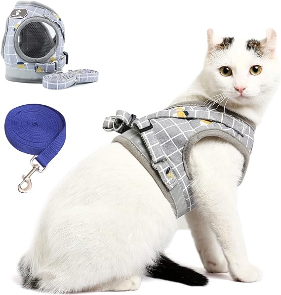 CandyCare Arnés Suave para Gatos, Juego de 5 m, Resistente a los pinchazos, arnés Ajustable para Gatos y Perros pequeños, arnés para Cachorros, Chihuahua, Escape Proof con Lino (Gris)