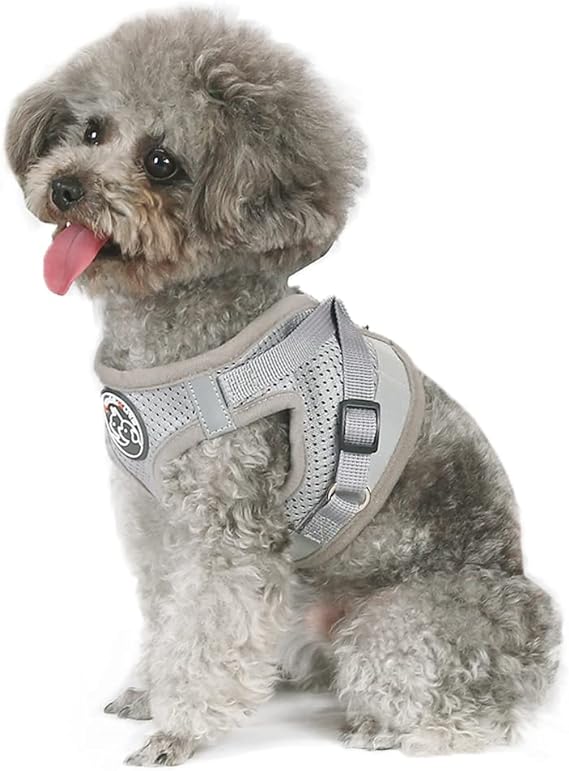 Juego de arnés para perro y gato con correa, pequeño chaleco suave, ajustable y seguro, chaleco y bandas reflectantes, arnés ajustable (S, gris)
