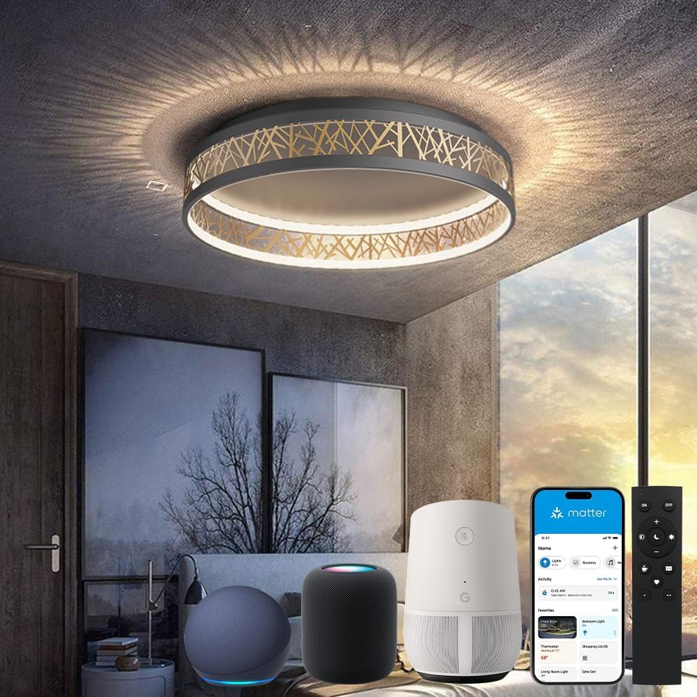 Lámpara de techo LED Yuanfenghua con control remoto, lámpara de dormitorio regulable con colchón, compatible con la aplicación eWeLink, diseño redondo calado en negro y dorado para sala de estar, Ø50×H12CM
