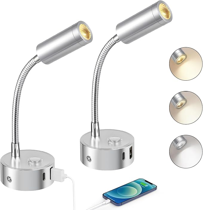 Lámpara de lectura LED ERWEY (paquete de 2) de 12 V para autocaravana, regulable táctilmente (3000 K-6000 K), brillo ajustable, lámpara de noche de cuello de cisne flexible de 360° con puertos USB A+C para iluminación interior de barcos y caravanas, color plateado
